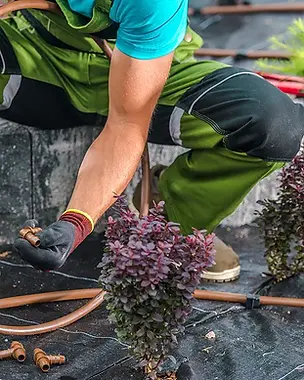 bigstock-Landscaper-Building-Drip-Irrig-453832755.jpeg.webp