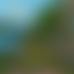 BioBlitz010 | May 22