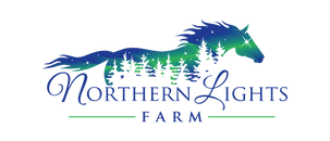 NorthernLights_logo_2.png