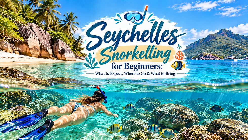 Is Seychelles Good for Snorkelling?