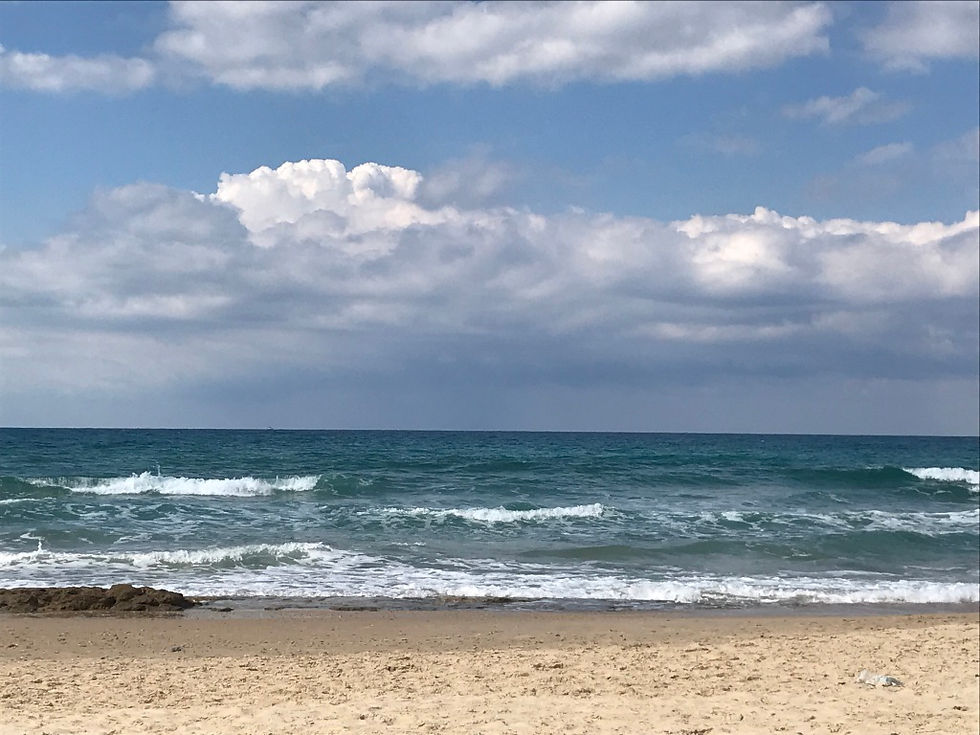 25B7B05D-D3E4-41F9-8CD7-4CDDF22E9A19_1_1