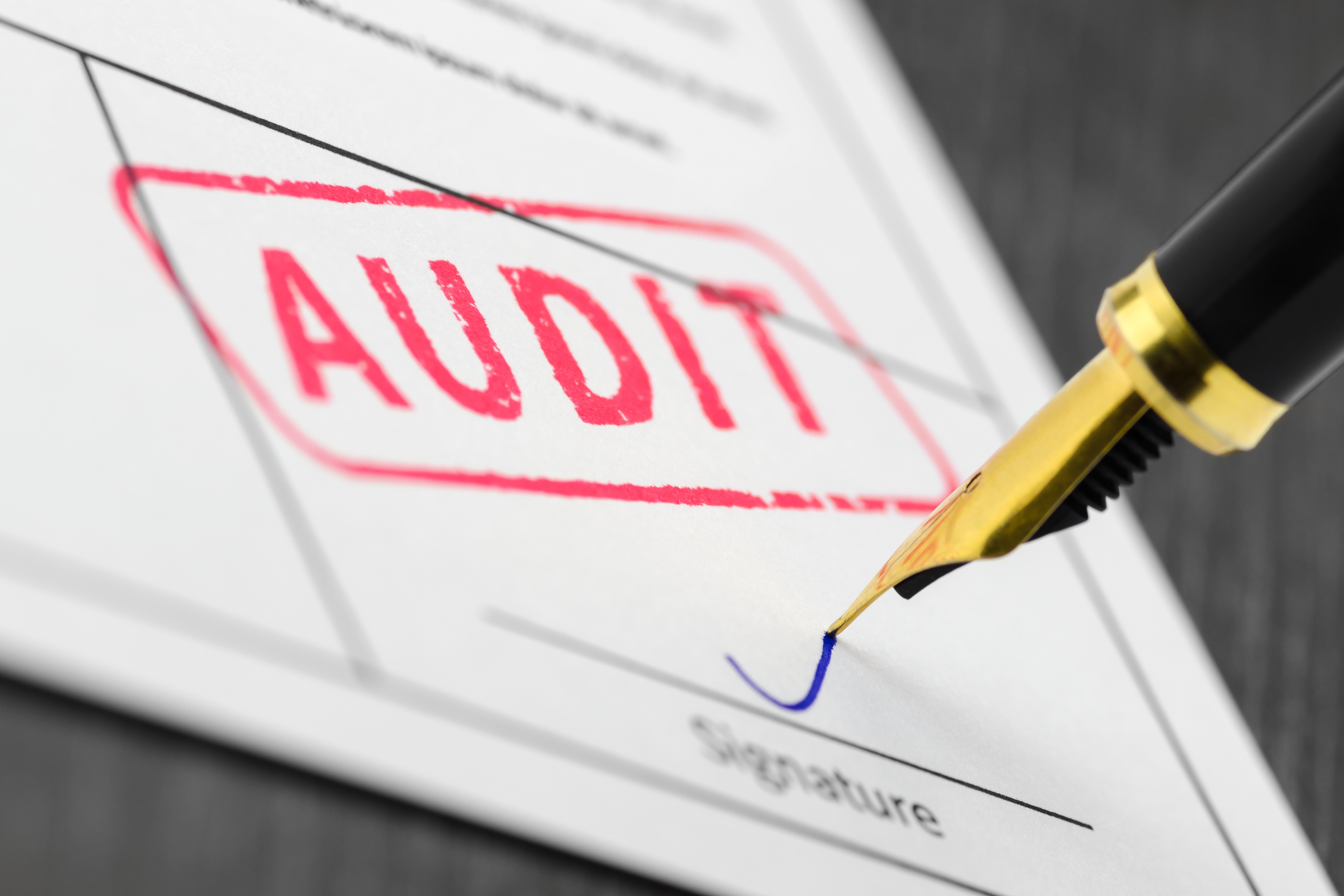 New Entrant Safety Audit