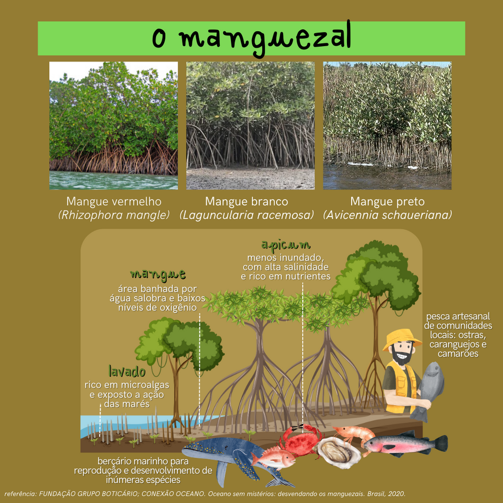 a natureza ensina I.png