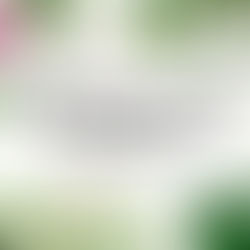 误区和事实: 围绝经期/更年期 2