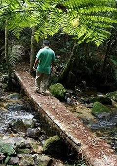 Sendero.webp