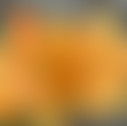 orange and red flower