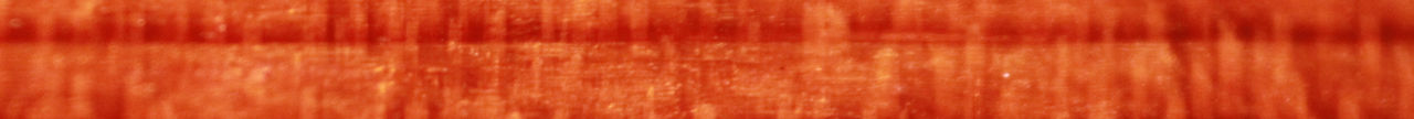 B3D2186C-5FD4-45F5-9A95-9415A2C4926F.jpeg
