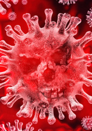 shutterstock_1622665819 (1).jpg