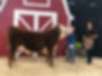 image5.jpeg