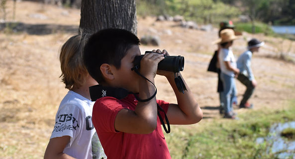 DSC_0390_edited.jpg