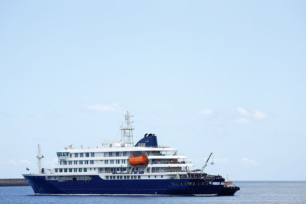 WHO: Seven cases of hantavirus confirmed from cruise ship