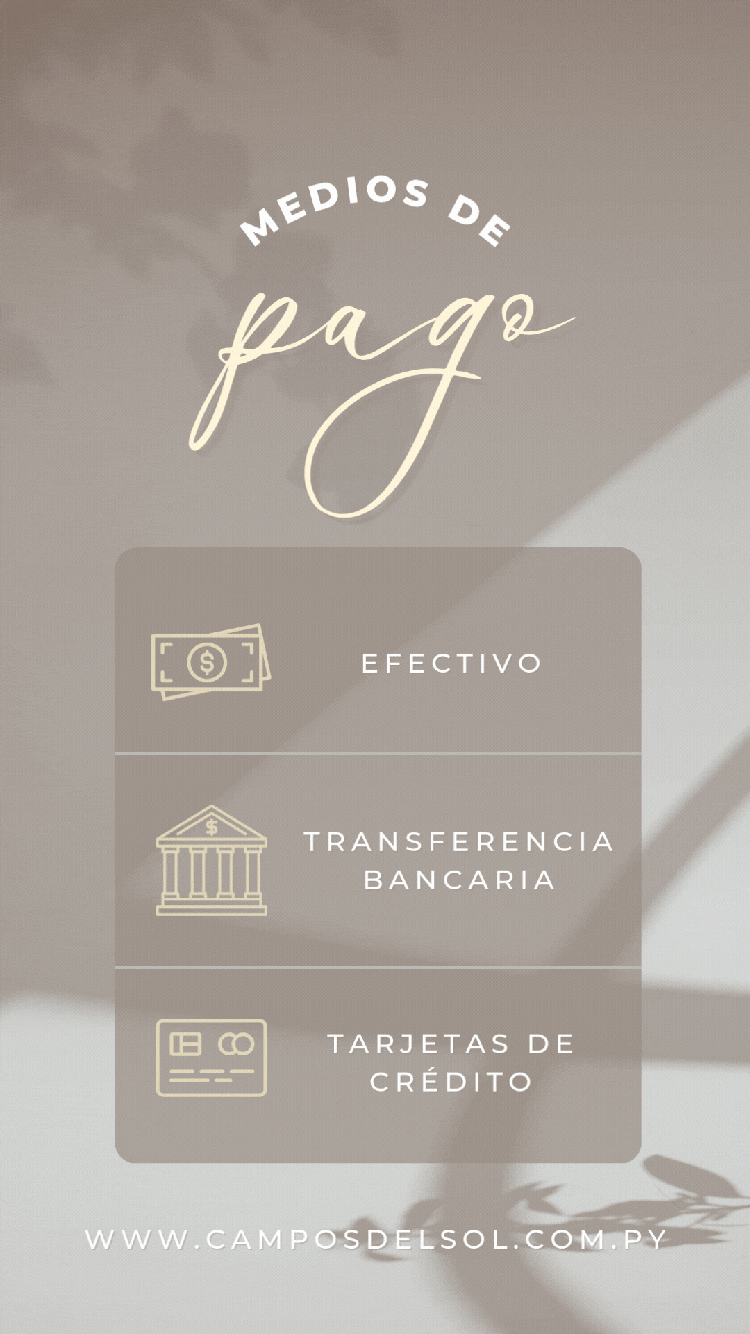 medios de pagos autorizados 
