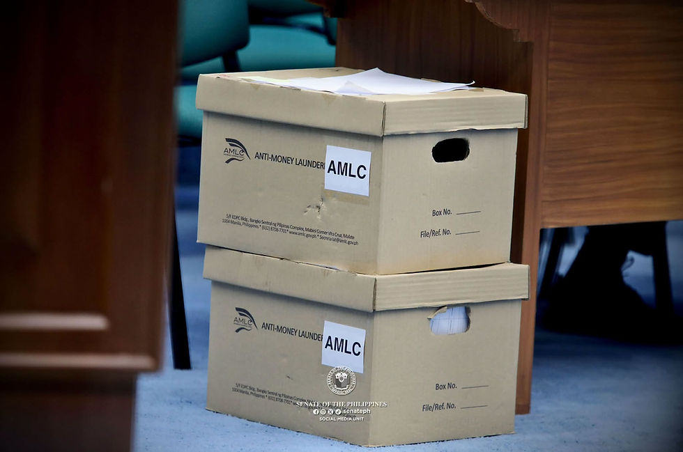 VP Duterte spokesman: AMLC testimony showed transactions, not illicit funds