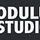 Modulus logo 2.png