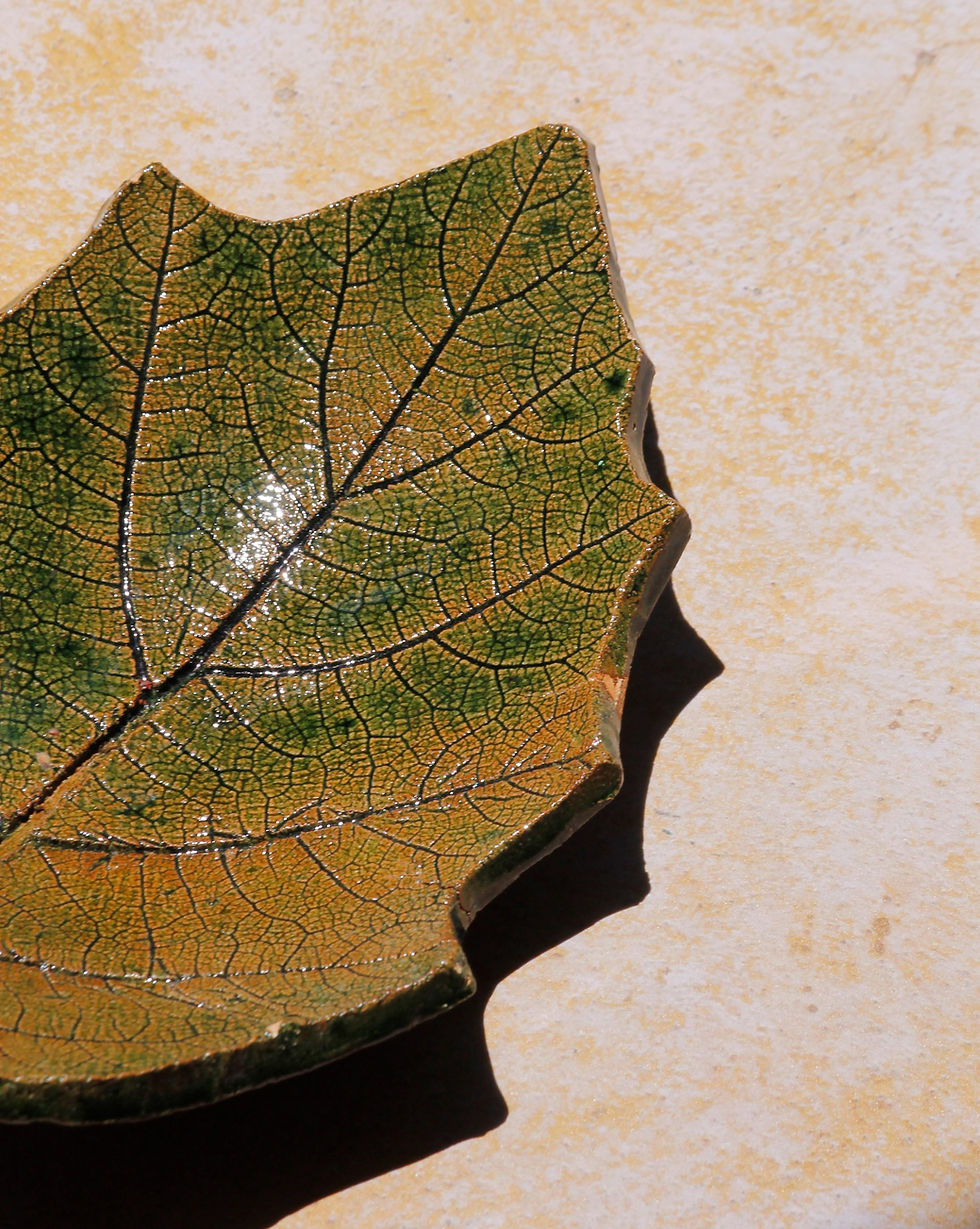 Thumbnail: San Pablo Leaf