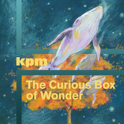 The Curious Box of Wonder