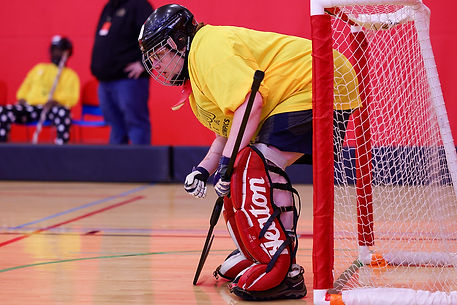 Floor Hockey