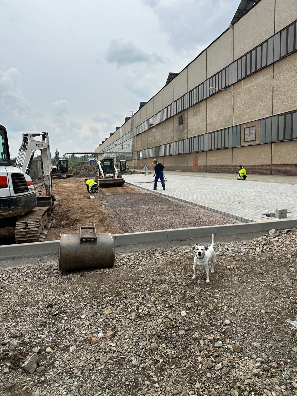 IMAGE 2025-08-11 15_49_19