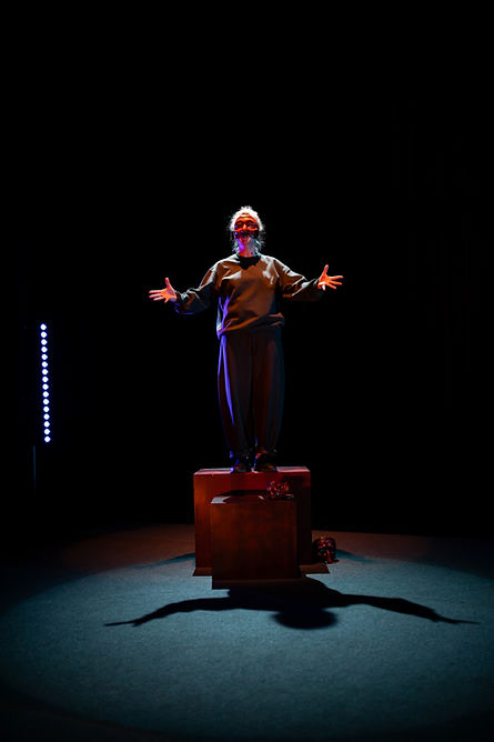 HARLEKINO Troupe Courage©Kamerich & Budwilowitz-5_edited.jpg