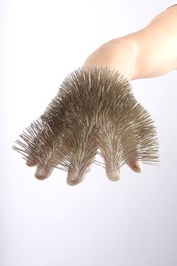 2004. hedgehog 07.jpg