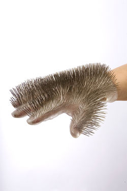 2004. hedgehog 05.jpg