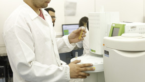 CROMATOGRAFIA GASOSA MELHORA PRECISÃO DE RESULTADOS ANALÍTICOS