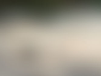 Slightly disorganized zen garden with smooth stones and raked sand in wavy patterns, surrounded by bamboo. Fallen leaves add a serene, natural touch. Disorder is symbolizing low resilience.