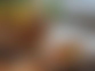 Basket of lemons and garlic on a table, surrounded by ginger and turmeric on a cutting board. Sunny kitchen with green plants outside. Symbolizing immune support.