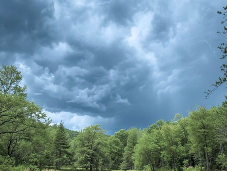 Lush green forest surrounds a calm lake under dramatic, dark storm clouds. The scene is serene yet tense with an impending storm. Symbolizing nervous system that gets stuck in survival mode.