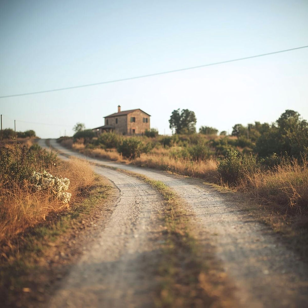 A dirt road leads to a rustic house under a clear sky. The setting is rural, with dry grass and bushes, creating a serene atmosphere. Symbolizing the fact that you had to let go of your dream.
