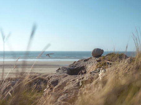 Beach scene with a stone on a dune, grass in foreground, and a bird mid-flight over the ocean under a clear blue sky. Stone symbolizes the plan that fits into your life.