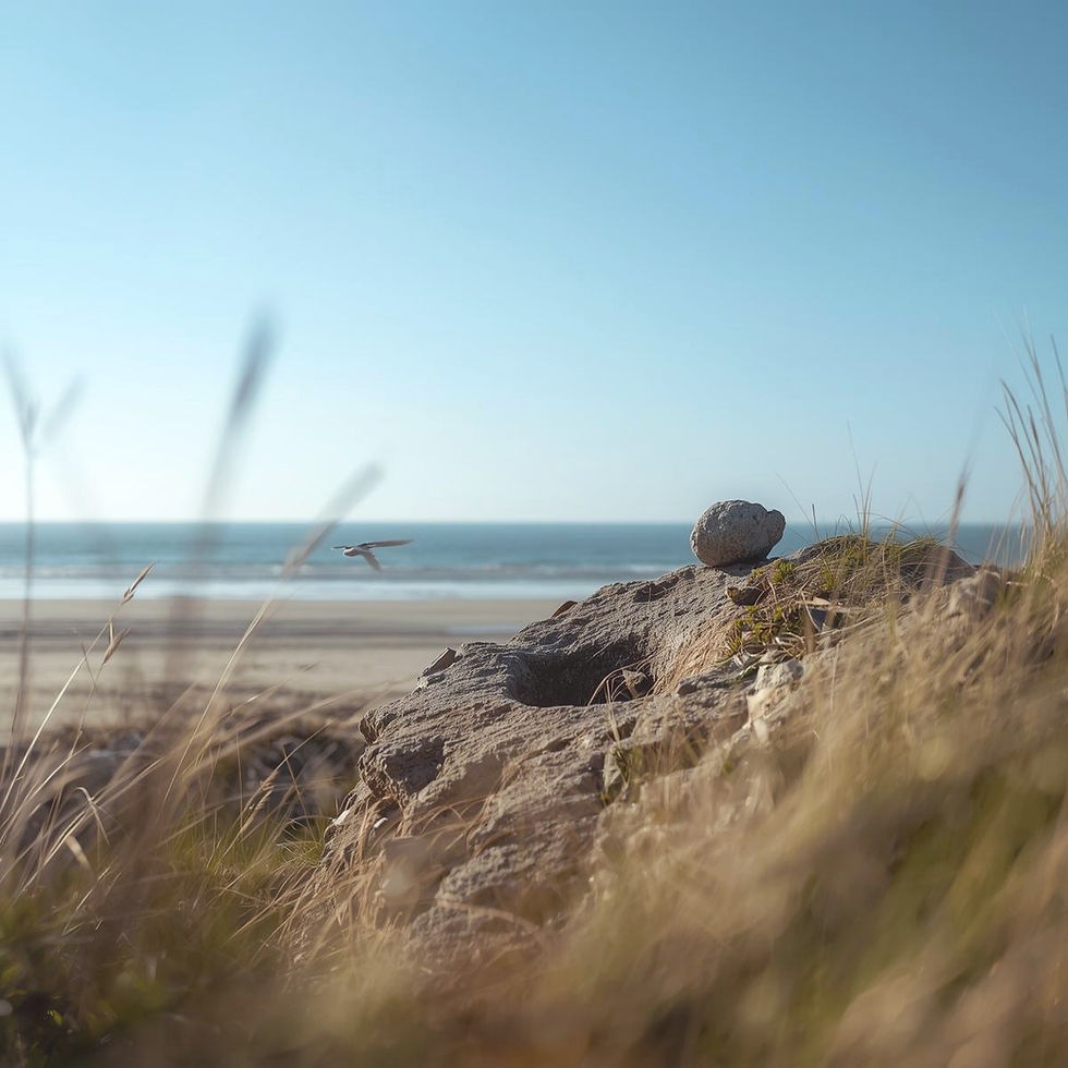 Beach scene with a stone on a dune, grass in foreground, and a bird mid-flight over the ocean under a clear blue sky. Stone symbolizes the plan that fits into your life.