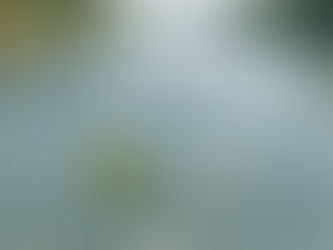 White daisy floating on clear river water with a green leaf. Sunlight creates patterns on the water surface. Calm and serene atmosphere. Symbolizing how to find find your own movement type.