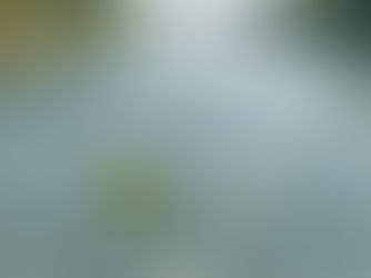 White daisy floating on clear river water with a green leaf. Sunlight creates patterns on the water surface. Calm and serene atmosphere. Symbolizing how to find find your own movement type.