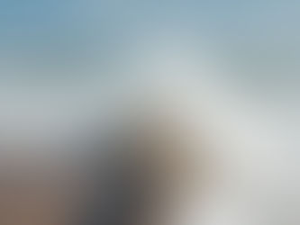 Log on a sandy beach with waves crashing over it, under a clear blue sky. The scene is dynamic and refreshing. Symbolizing plan testing.