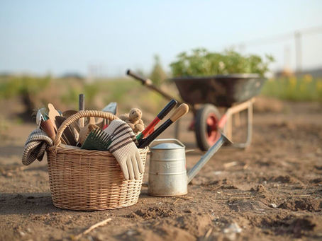 Basket of gardening tools on soil, with gloves, watering can, and a wheelbarrow holding plants in the background. Sunny and calm setting.Symbolizing time to execute the dream.