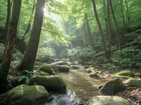Aerial view of turquoise waves washing onto a sandy beach. There are serene, tranquil mood. Symbolizing calm energy.