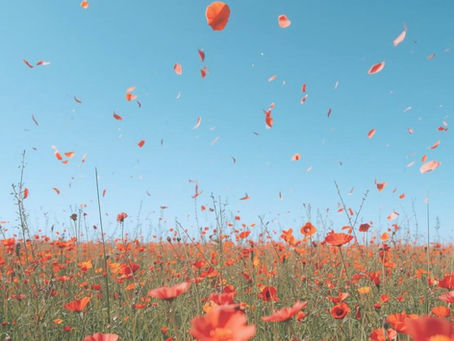 The Mind as a Playground