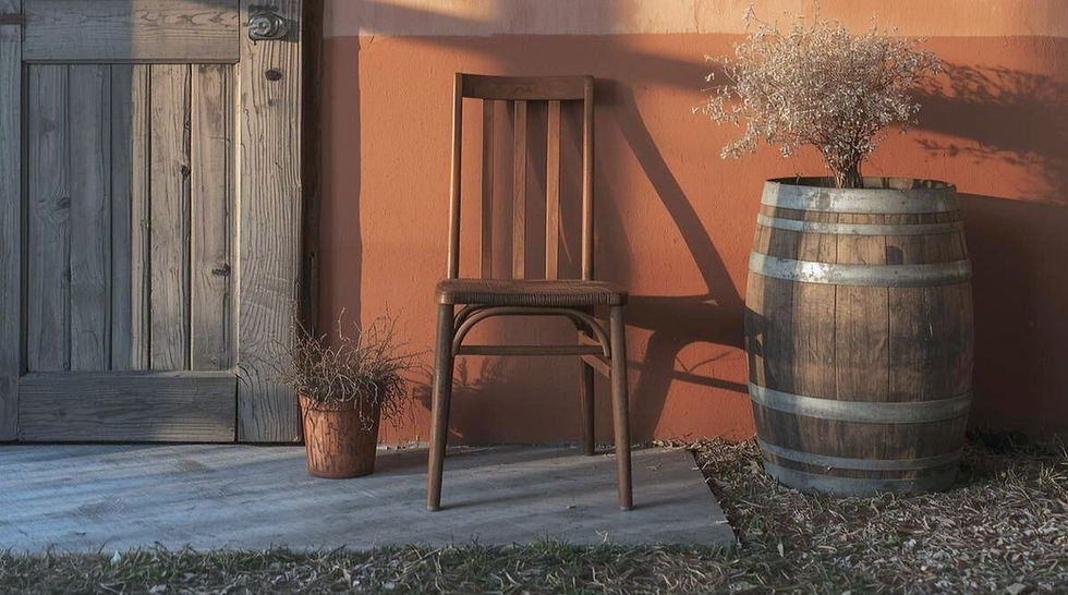 Wooden door and chair beside a wall, in warm sunlight. A barrel with dried flowers and a small potted plant create a calm, rustic mood. Symbolizing disapontment when dream doesn´t feel the way you imagined.