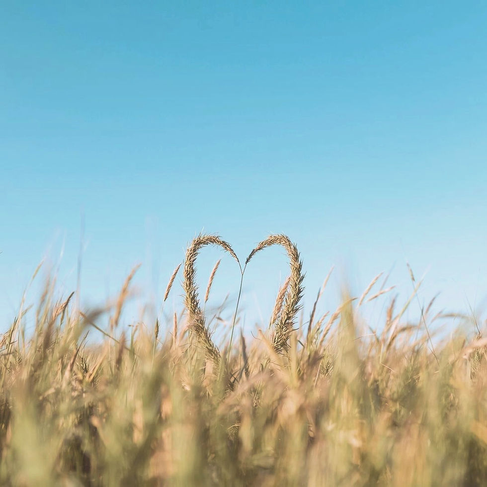 Symbols, Tarot, and Intuition