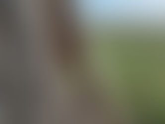 When Life Feels Like an In-Between