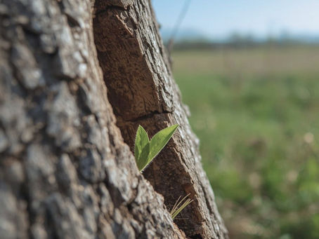 When Life Feels Like an In-Between