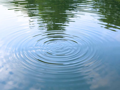 Ripples in clear blue water reflecting green trees and sky, creating a calm and serene atmosphere. Symbolizing movement as a holistic practice.