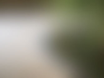 Zen garden with raked sand patterns, large stones lining a pond, and bamboo in the background. Calm and serene atmosphere. Symbolizing healthy boundaries.