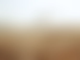 A lone dandelion in a sunlit field releases seeds into the air. Warm, earthy tones create a serene, peaceful atmosphere. Symbolizing the message of inner voice.