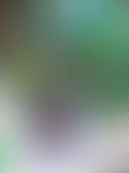 Why Ayurgrid’s Ayurveda Doctor Appointment Management System is a Game-Changer