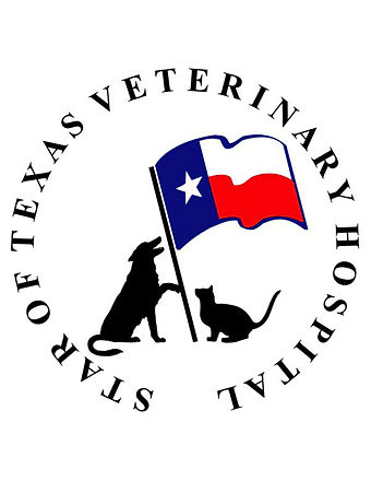 StarofTexasVetlogo.jpg