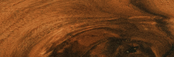 fxn 2024-10-08 152934.761.png