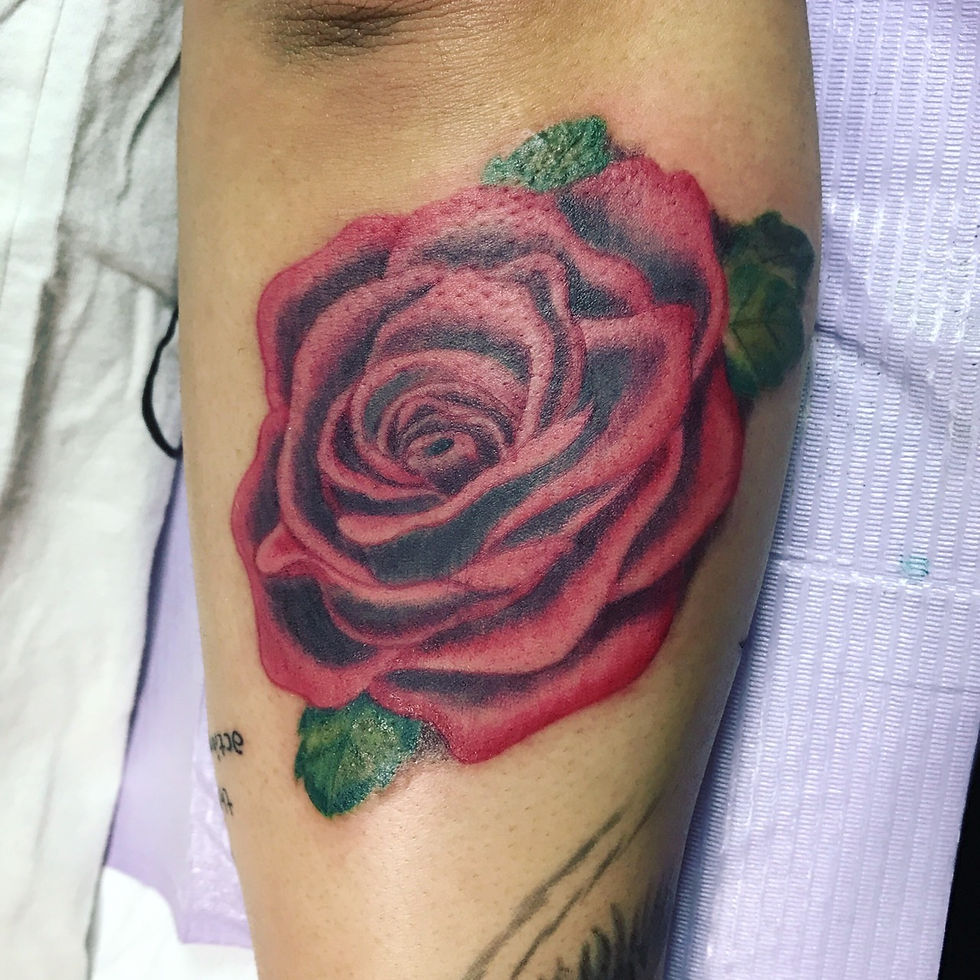 薔薇