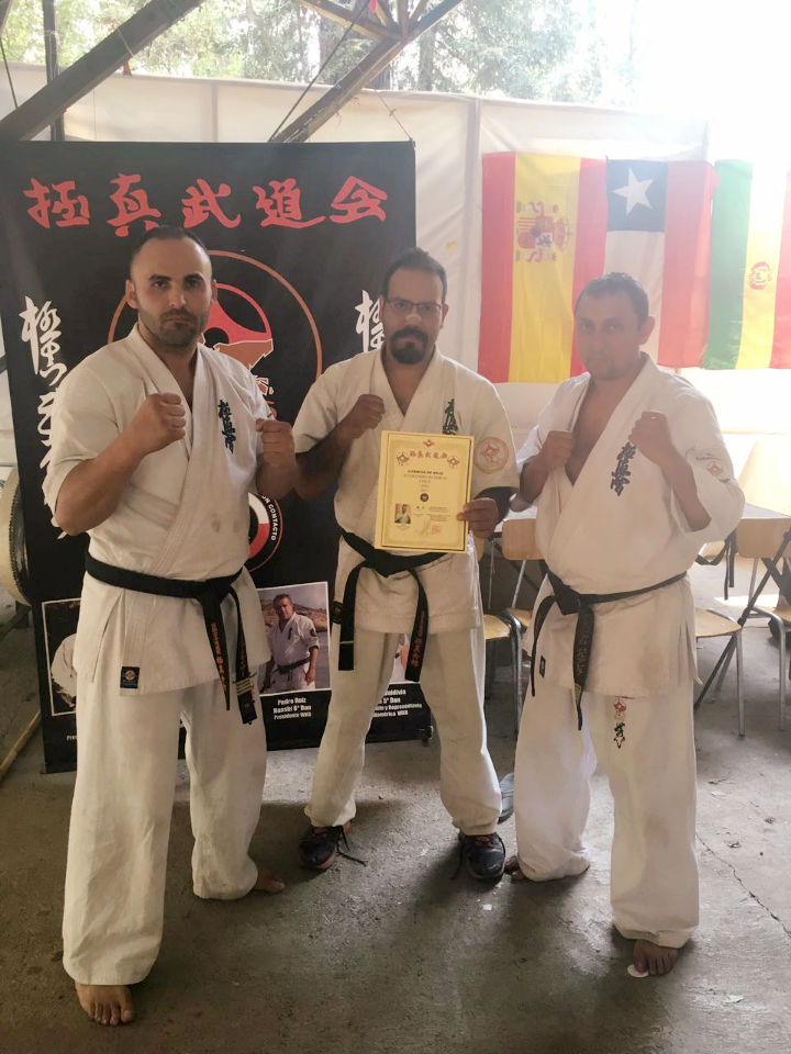 Licencia de dojo oficial